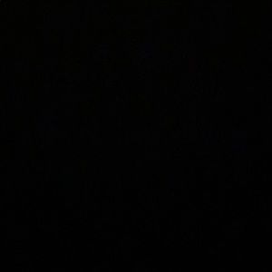 Meet your Posher, Alanis